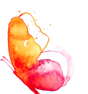 image of a butterfly